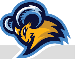 BLUE MOUNTAIN Team Logo